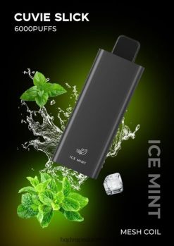 glat is mynte HQD CUVIE SLICK 6000 pust 22D0XP27 - HQD disposable vape
