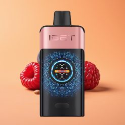 IGET ONE 12000 Puffs Engangs Vape Blåbær Hindbær med 2700 mAh Batteri