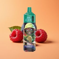 JNR Alien 10000 Puffs Engangs Vape Blåbær Sur Hindbær med 850mAh