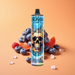 JNR Calavera 11000 Puffs Disposable Vape Blåbær Is med Type-C opladning