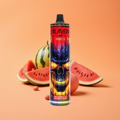 JNR Calavera 11000 Puffs Disposable Vape Vandmelon Tyggegummi 21ml 850mAh