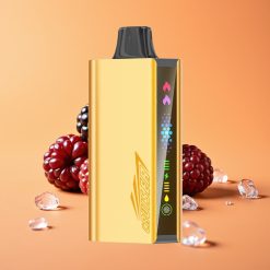 JNR Cruiser 12000 Puffs No-Charge Disposable Vape Brombær Is med 3500 mAh Batteri og Animation Skærm