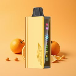 JNR Cruiser 12000 Puffs No-Charge Disposable Vape Kølig Mynte med 3500 mAh Batteri