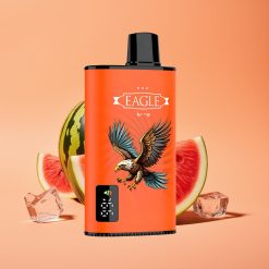 JNR EAGLE Smart 23000 Puffs Disposable Vape Vandmelon Is med Digital Skærm og 1.0ohm Mesh Coil