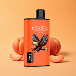 JNR EAGLE Smart 23000 Puffs Engangs Vape Saftige Ferskner med Digital Skærm