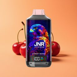 JNR Falcon X 18000 Puffs Disposable Vape Kirsebær Bær 750mAh Type-C