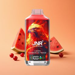 JNR Falcon X 18000 Puffs Disposable Vape Kirsebær Vandmelon Fryse med Digital Display