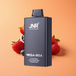 JNR Mega Box 25000 Puffs Disposable Vape Blåbær Sur Hindbær Jordbær med 850mAh Batteri