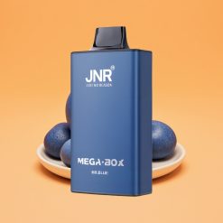 JNR Mega Box 25000 Puffs Engangs Vape Herr Blå med 850mAh Batteri
