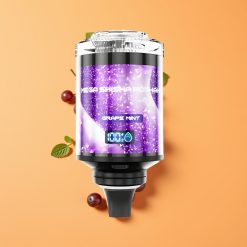 JNR Mega Shisha Hookah 100K Desktop Kompatibilitet Drue Mynte med 60ml e-Liquid og Type-C opladning