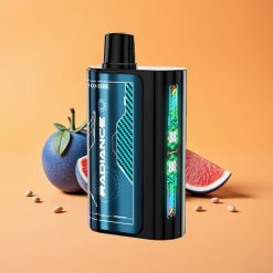 JNR Radiance 31000 Puffs Engangs Vape BLÅ HINDBAER IS med 28ml E-væske og Dual Mesh Coil