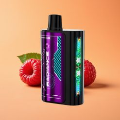 JNR Radiance 31000 Puffs Engangs Vape BLÅBÆR SUR HINDBÆR 28ml E-liquid