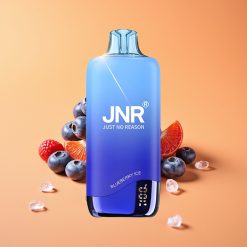 JNR Rainbow 10500 Puffs Engangs Vape Blåbær Is med 600mAh Batteri