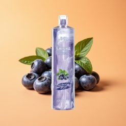 JNR Shisha Hookah 12000 Puffs Engangs Vape Blåbær Mynte 750mAh Type-C