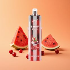JNR Shisha Hookah 12000 Puffs Engangs Vape Kirsebær Vandmelon Fryse 750mAh