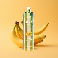 JNR Shisha Hookah 12000 Puffs Engangs Vape Mango Banan 24ml 750mAh