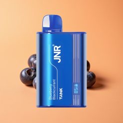 JNR Tank 10000 Puffs Engangs Vape Blåbær Solbær med Digital Display